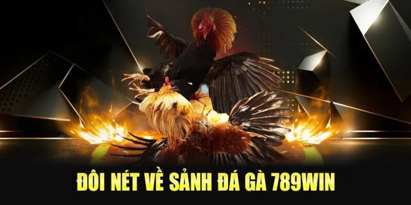 Giới thiệu sảnh Đá Gà 789Win chuẩn Châu Âu năm 2026